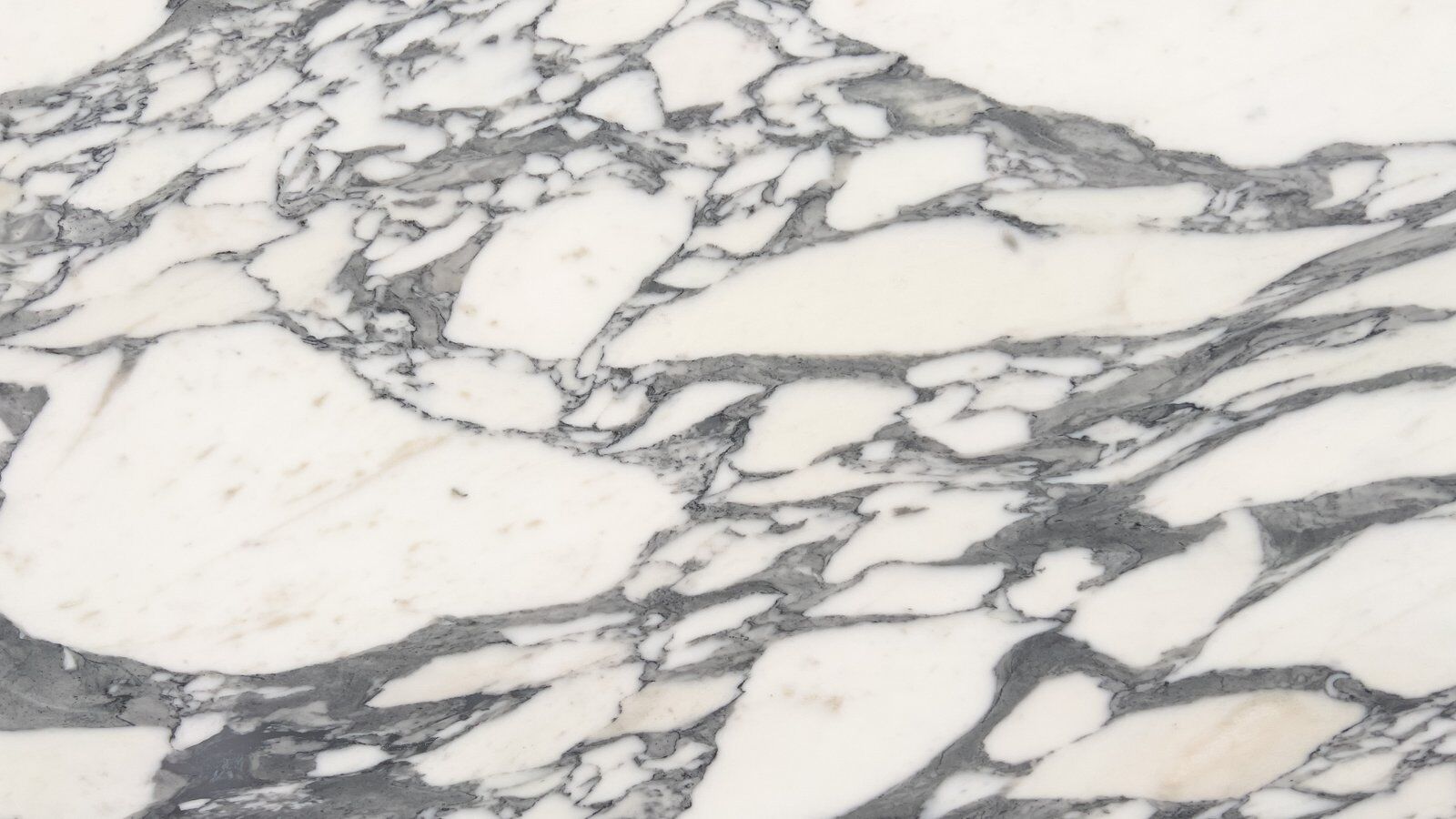 Arabescato Corchia white marble slab with grey veining
