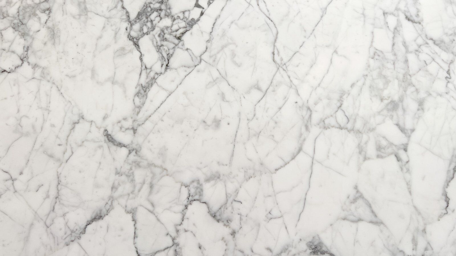Arabescato Venatino white marble slab