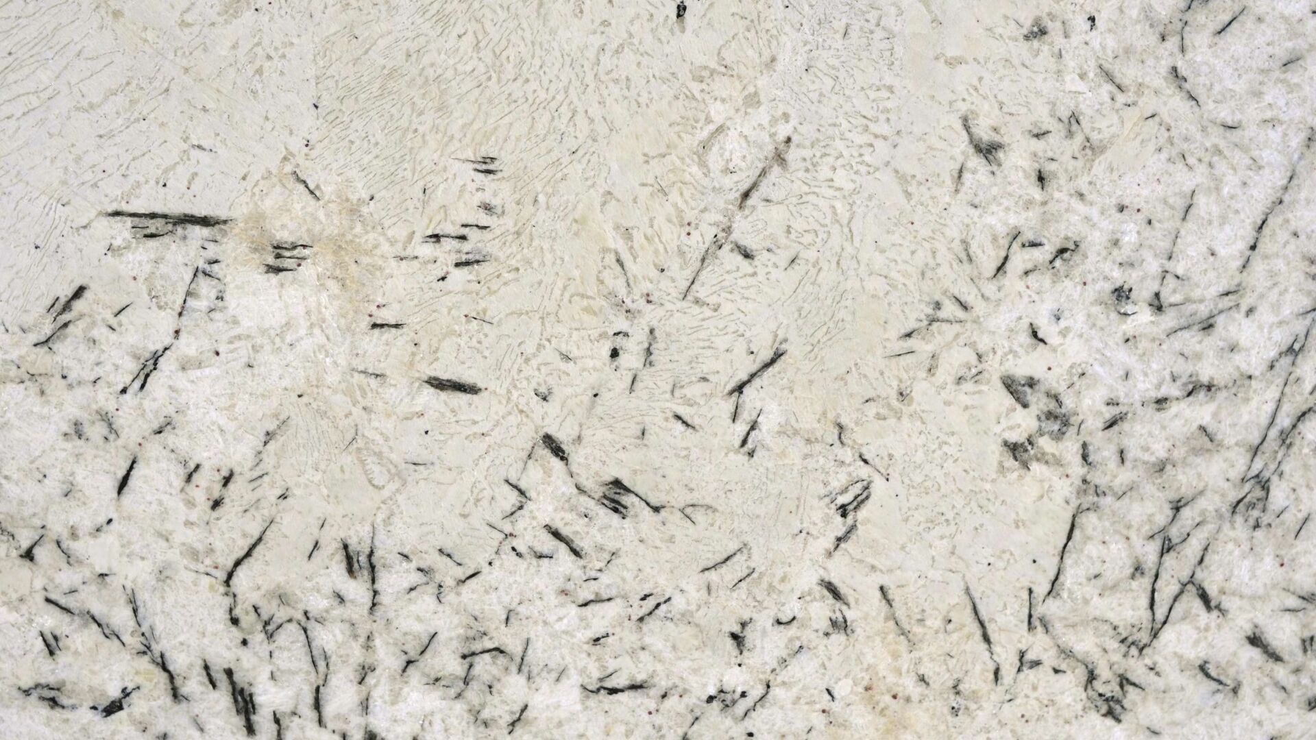 Arctic Cream granite slab with black veining