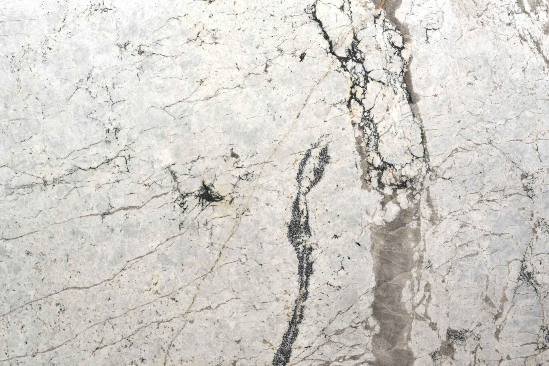 Bianco Ignio white granite slab