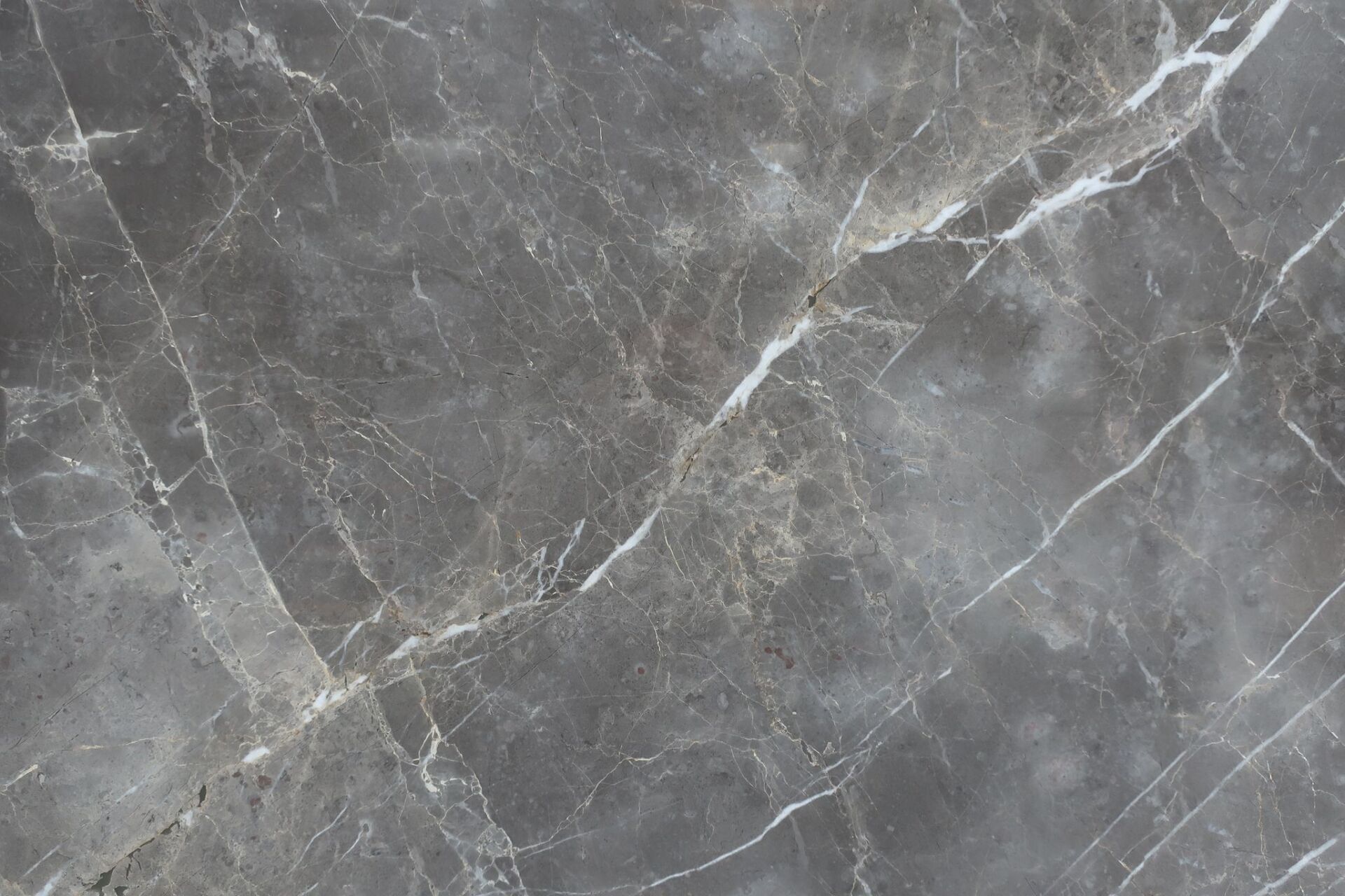 Grigio Imperiale polished grey marble slab with taupe veining