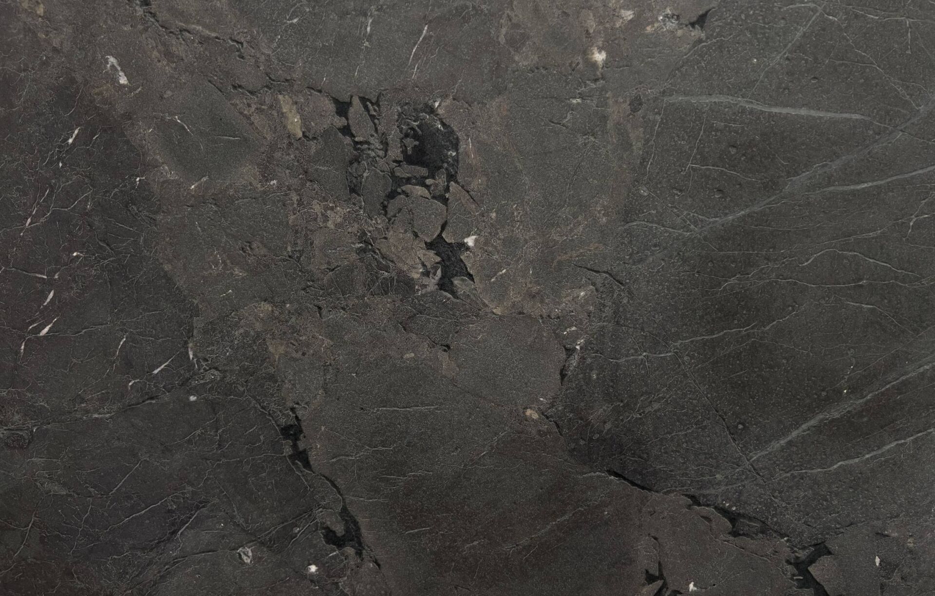 Omega Black quartzite slab with white veining