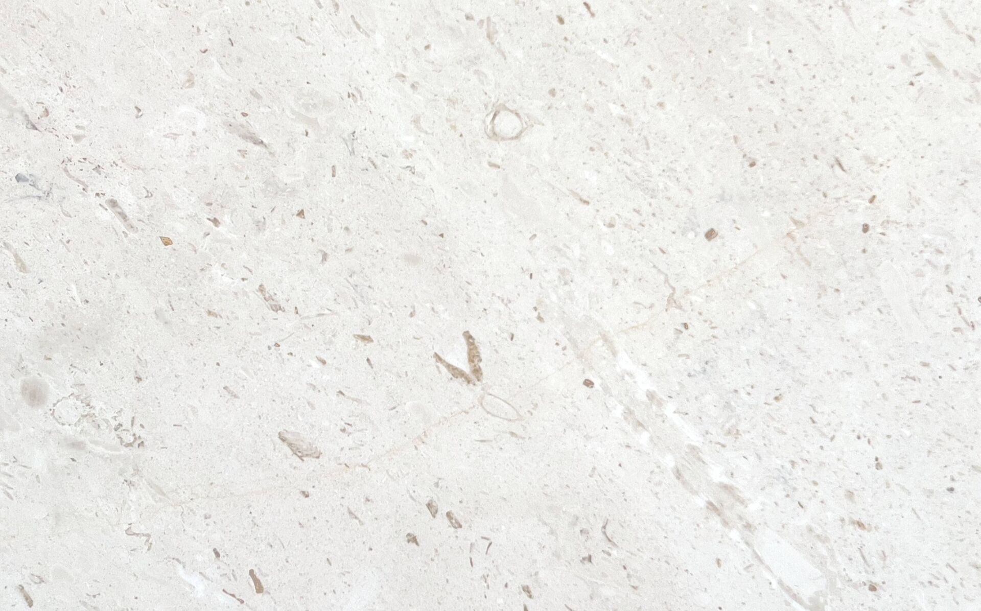 Panna Fossil cream limestone slab