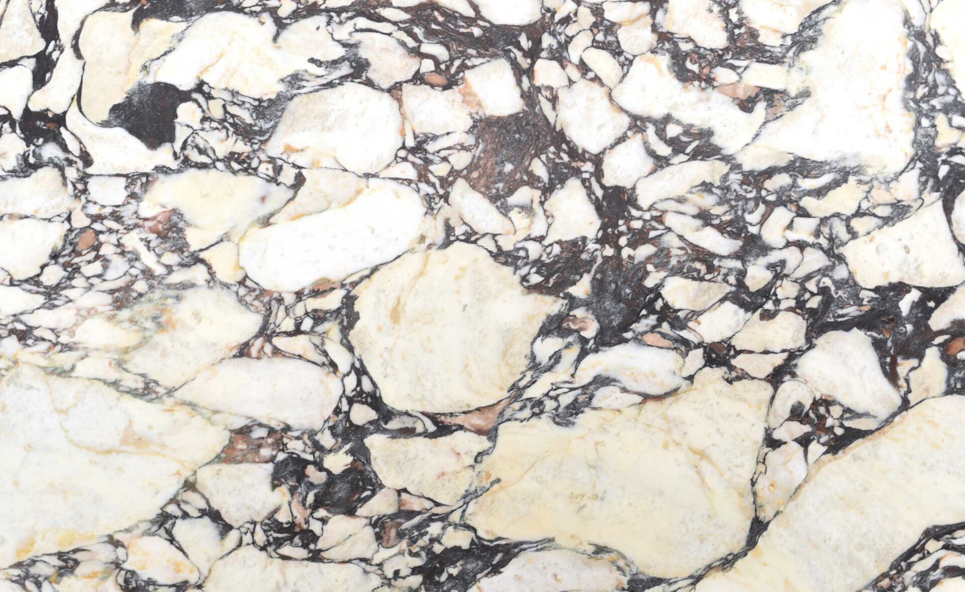 Calacatta Viola purple marble slab with red veining