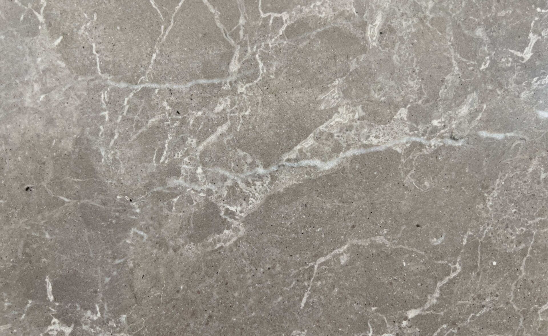 Andromeda brown limestone slab with white veining