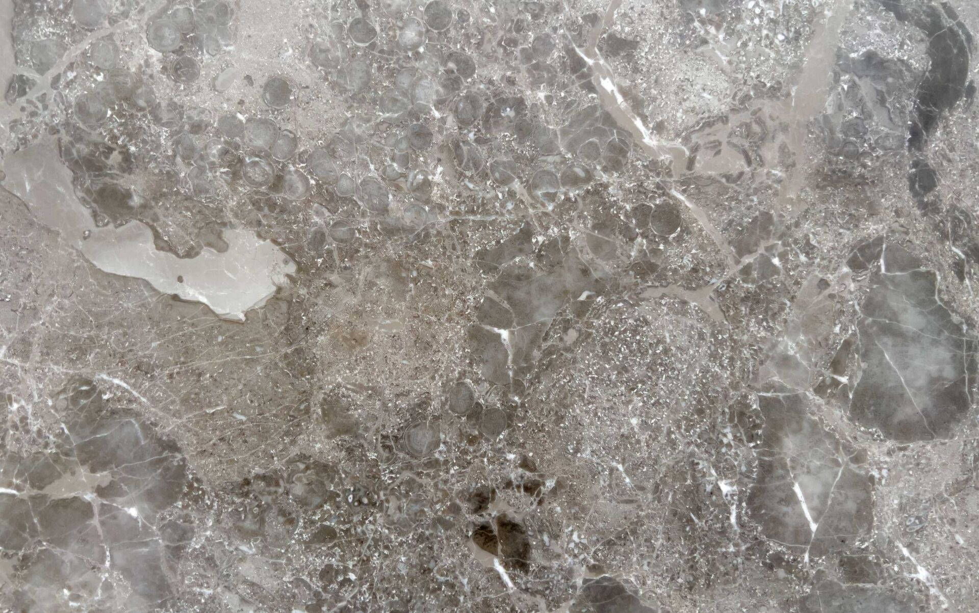 Mangrove brown marble slab with white veining