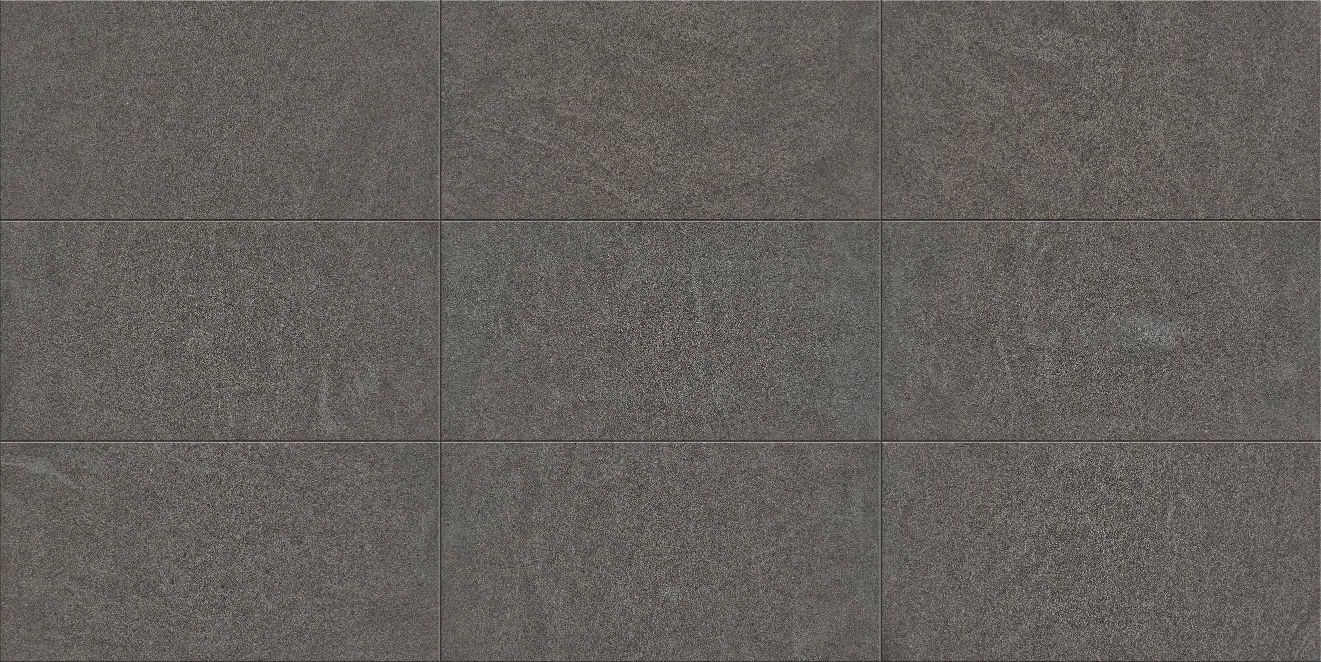 Megha Black bluestone step and pool coping