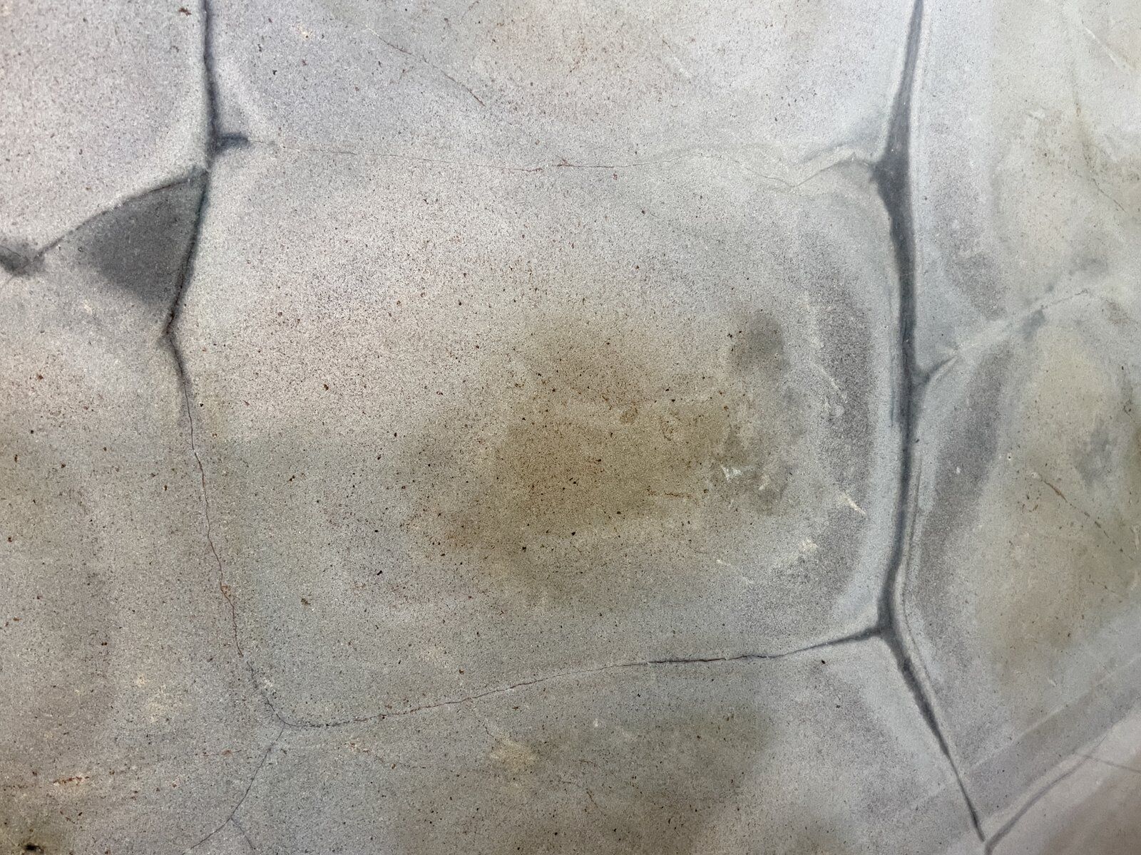 Zante green quartzite slab